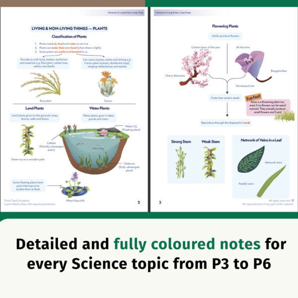 P3-6 Science Course Book