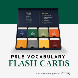 Rachel Folder 2 (5) PSLE Vocabulary Flash Cards (小六会考) 词汇闪卡