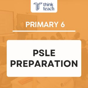 psle prep Ace Your DSA Interview — Online Course